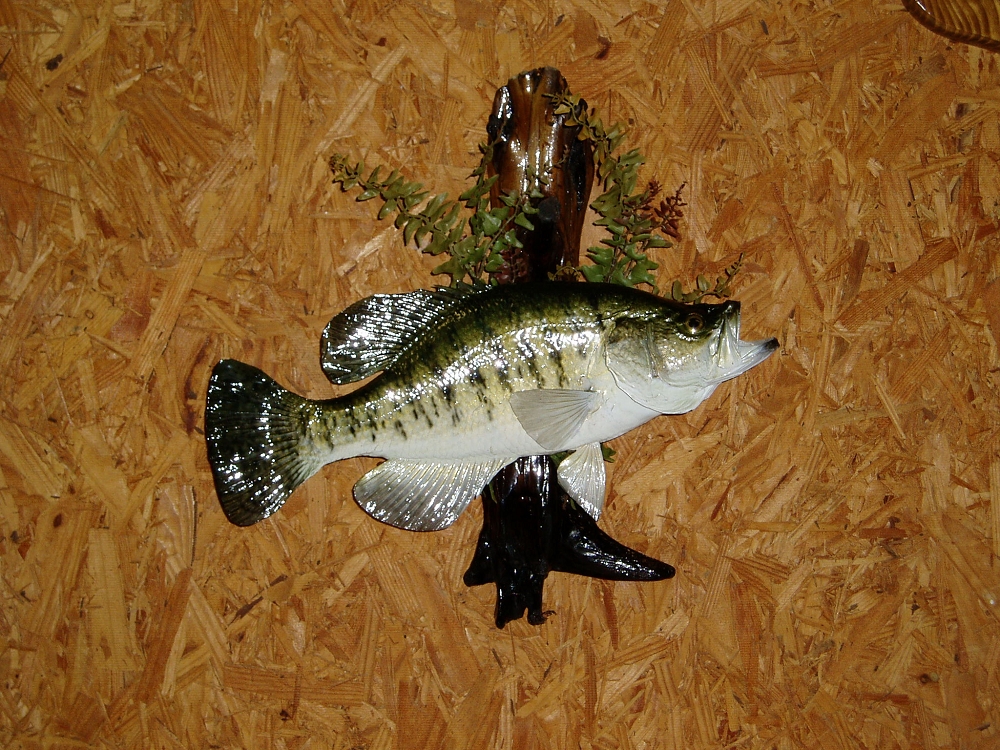 Cabins on Sam Rayburn Lake Camping on Sam Rayburn Lake Ogg’s Fish